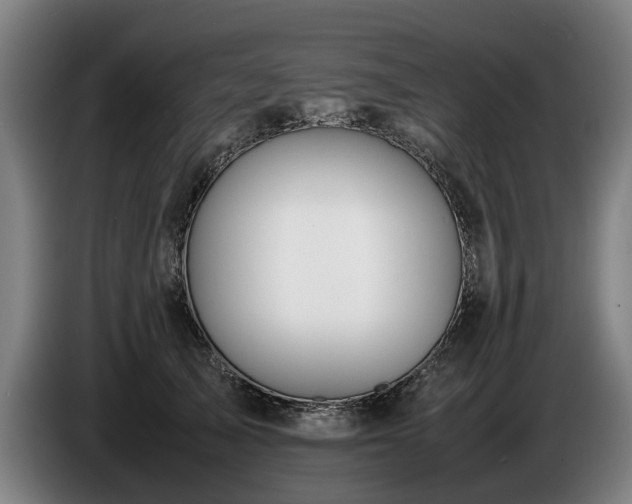 X0000086760705200704201745