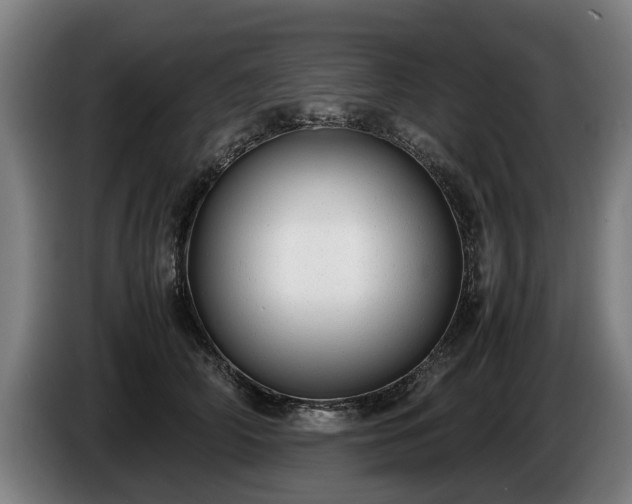 X0000086760706200704201745