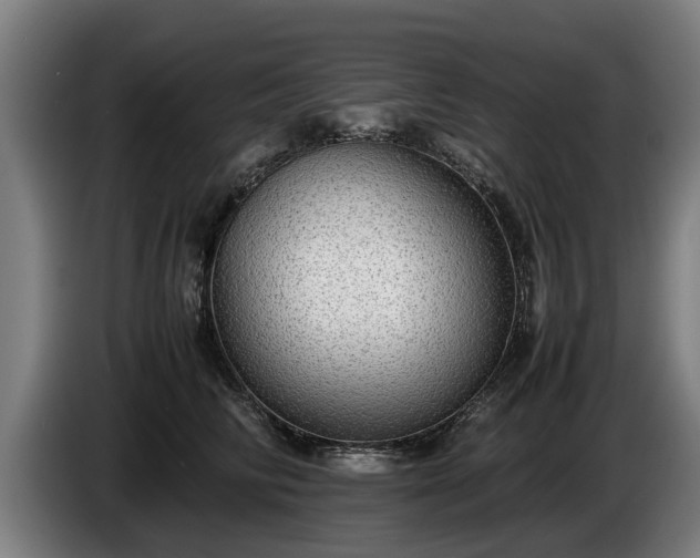 X0000086760710200704201745