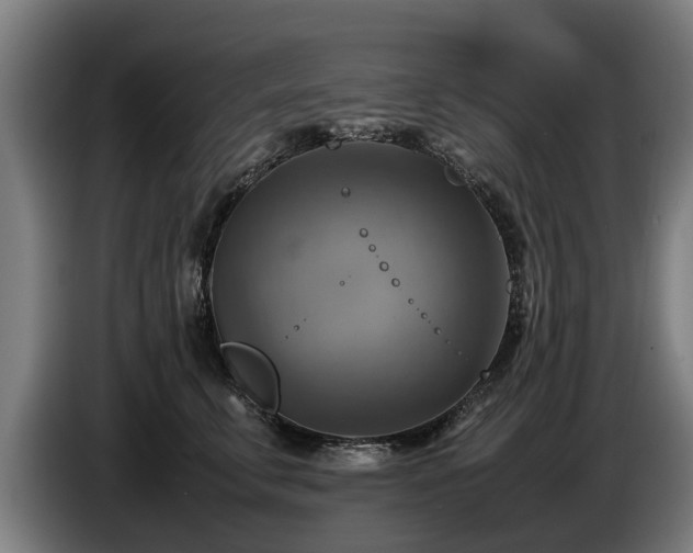 X0000086760711200704201745