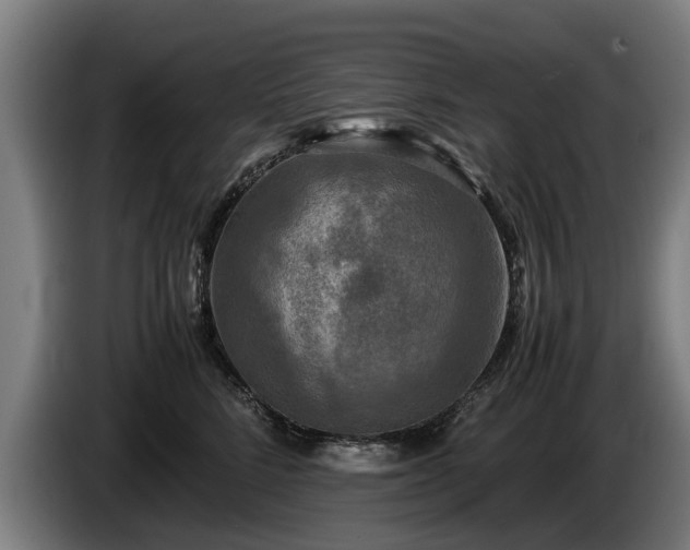 X0000086760712200704201745