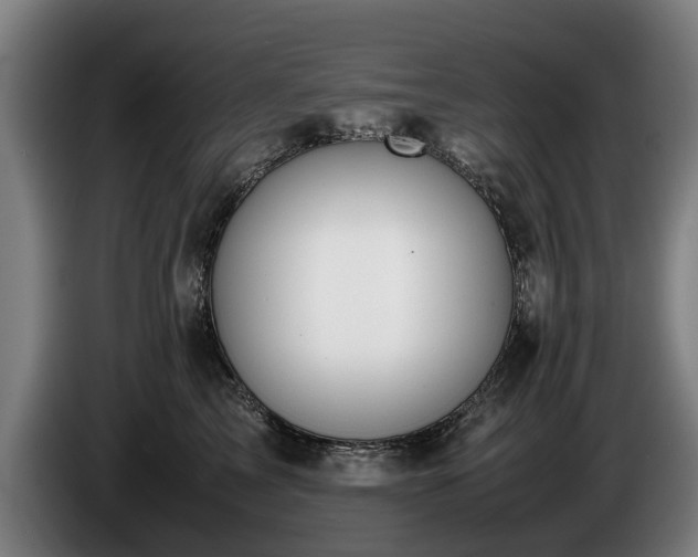 X0000086760713200704201745