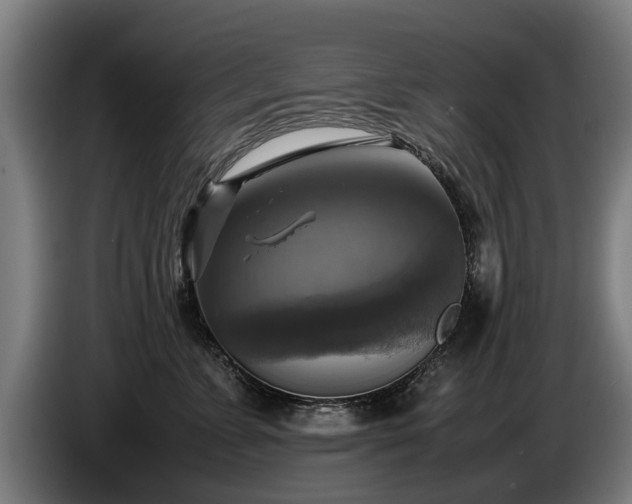 X0000086760715200704201745