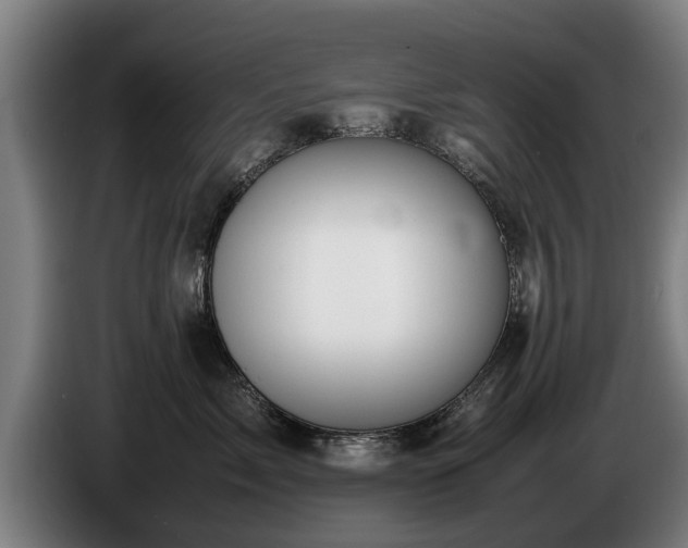 X0000086760717200704201745