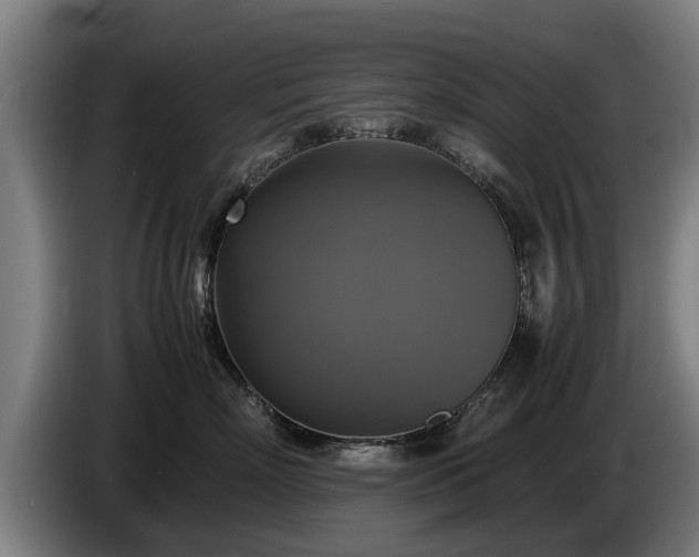 X0000086760718200704201745