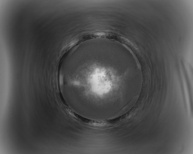 X0000086760720200704201745