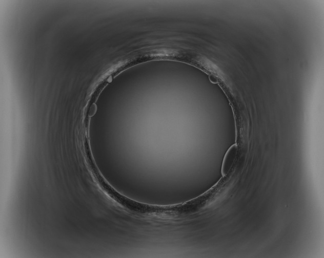X0000086760721200704201744