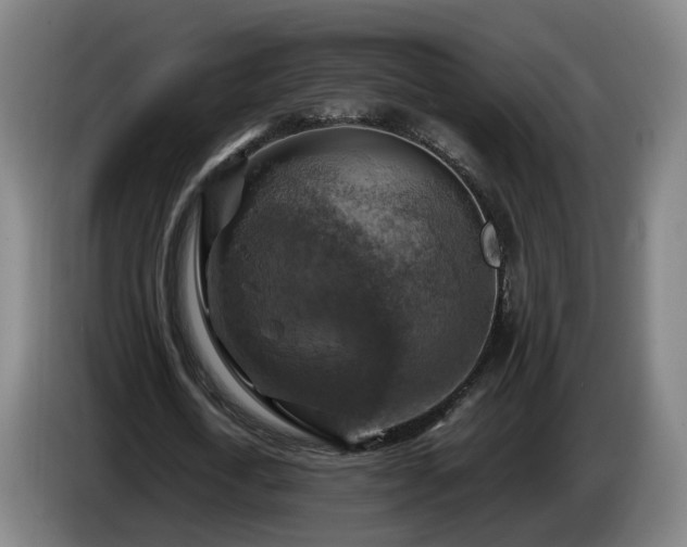 X0000086760722200704201744