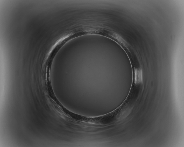 X0000086760723200704201744
