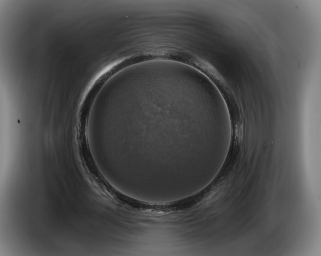 X0000086760724200704201744
