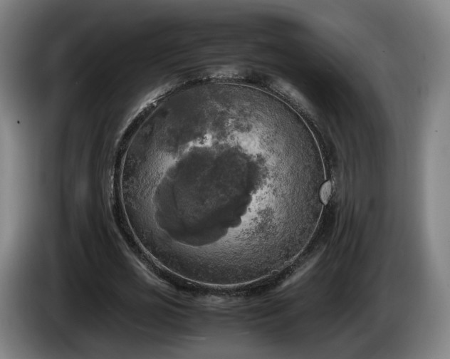 X0000086760725200704201744