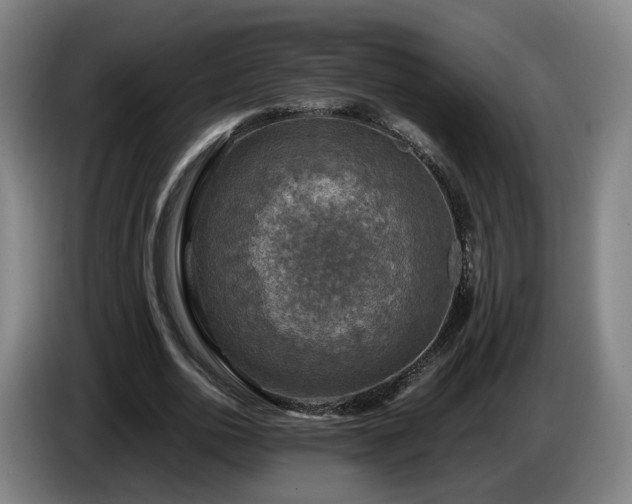X0000086760726200704201744