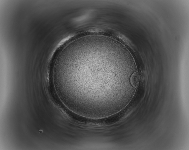 X0000086760727200704201744