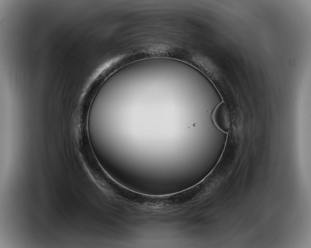X0000086760728200704201744