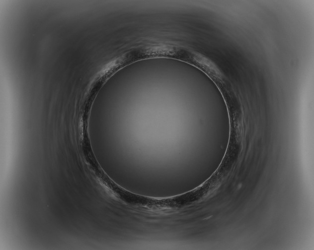 X0000086760729200704201744