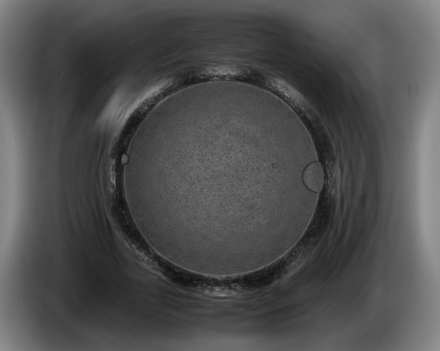 X0000086760731200704201744