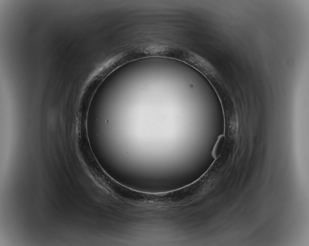 X0000086760732200704201744
