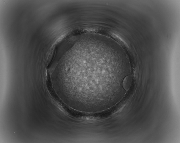 X0000086760733200704201744