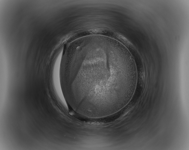 X0000086760734200704201744