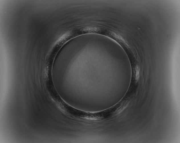 X0000086760735200704201744
