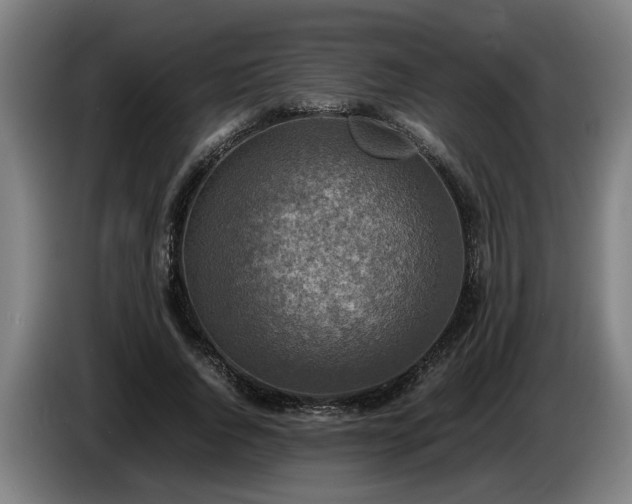X0000086760736200704201744