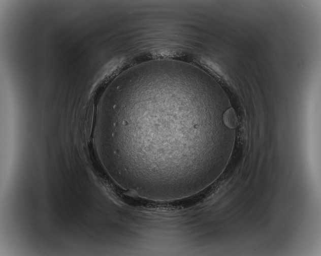 X0000086760738200704201745
