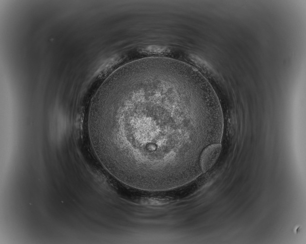 X0000086760739200704201745