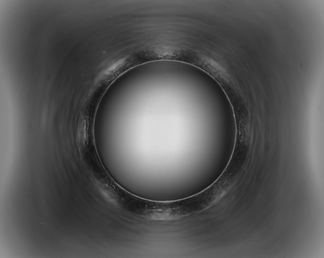 X0000086760740200704201745