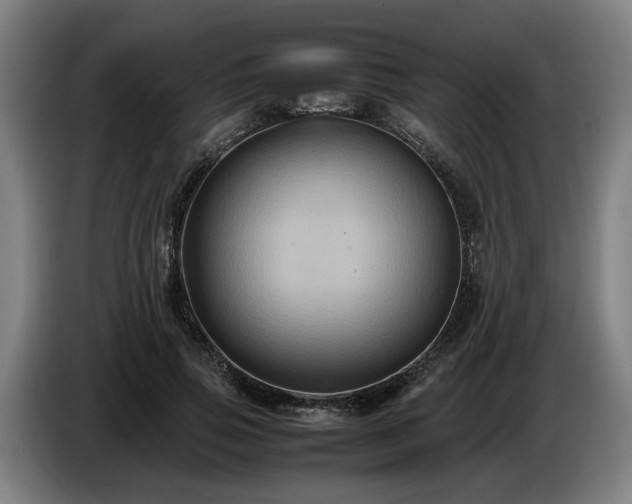 X0000086760741200704201745