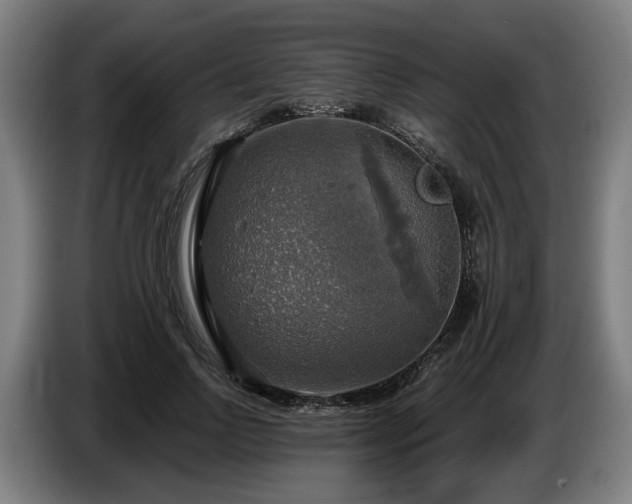 X0000086760742200704201745