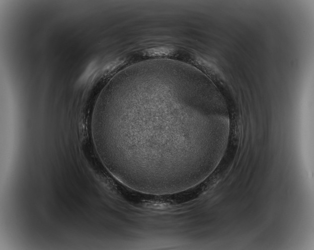 X0000086760743200704201745