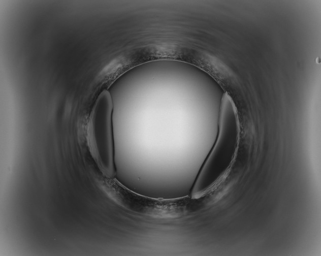 X0000086760744200704201745