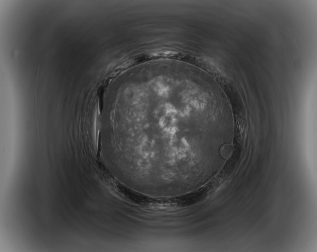 X0000086760745200704201745