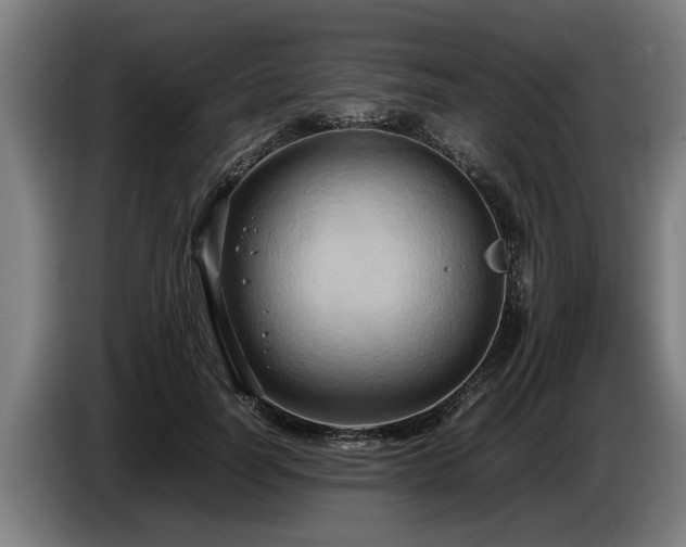 X0000086760746200704201745