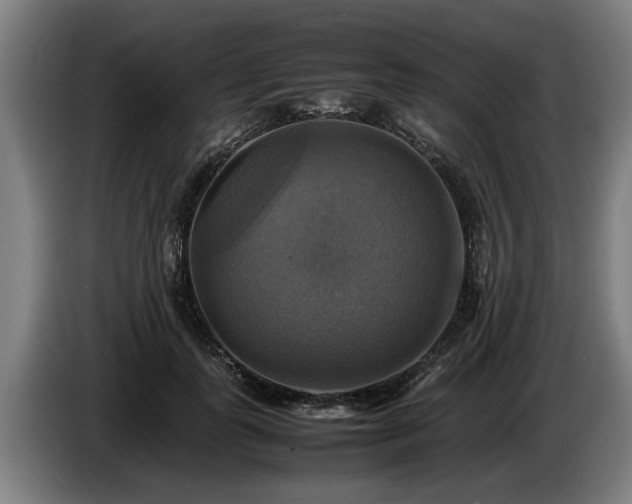X0000086760747200704201745