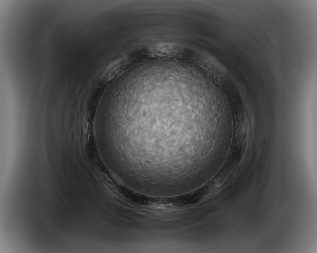 X0000086760749200704201745