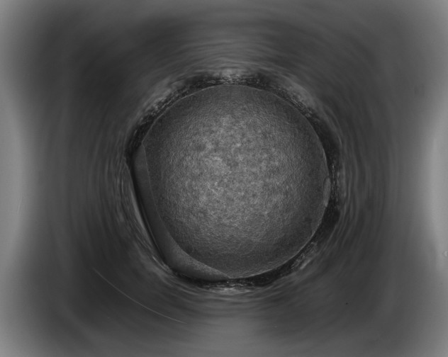 X0000086760750200704201745