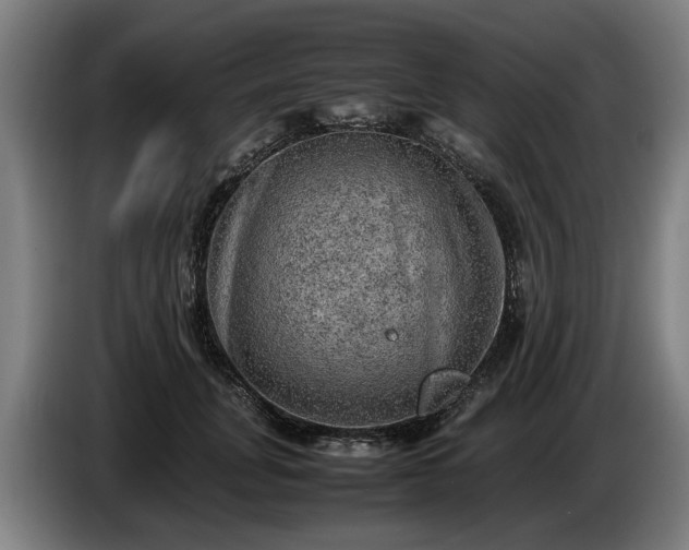 X0000086760751200704201745