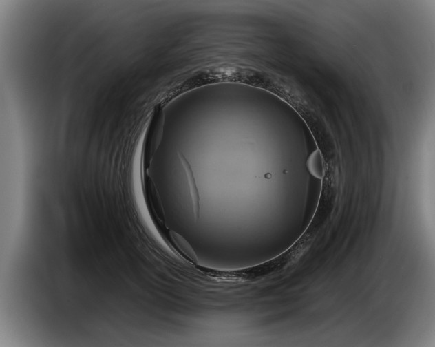 X0000086760754200704201745