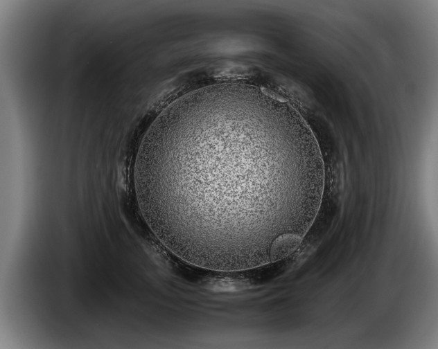 X0000086760755200704201745