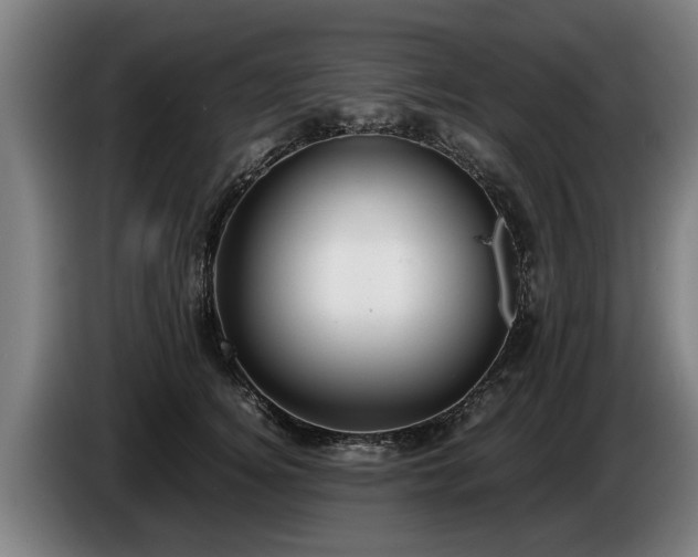 X0000086760756200704201745
