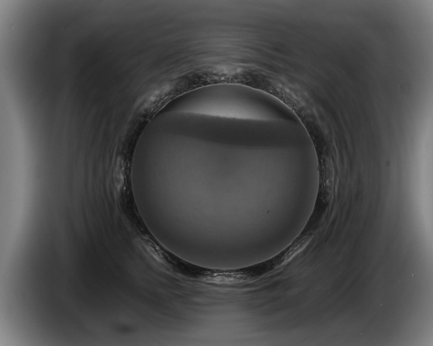 X0000086760758200704201745