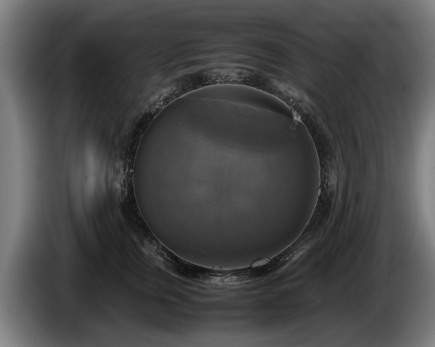 X0000086760759200704201745