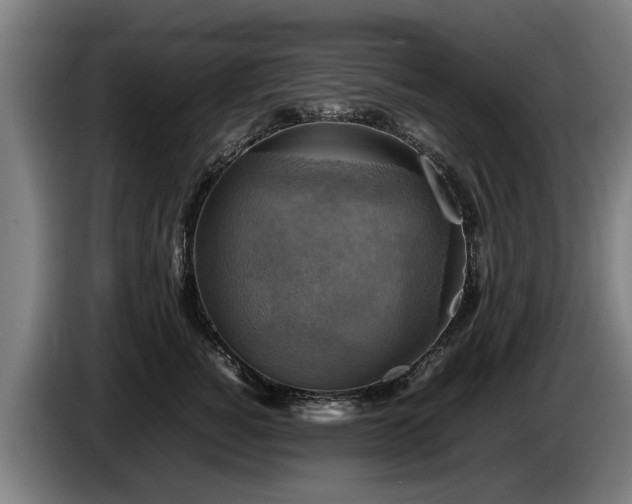 X0000086760760200704201745
