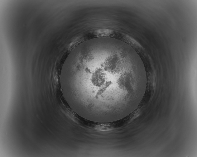 X0000086760761200704201745
