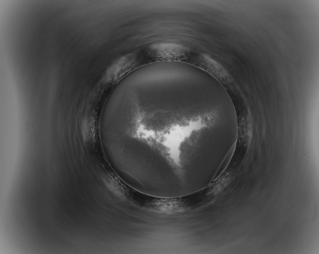 X0000086760762200704201745