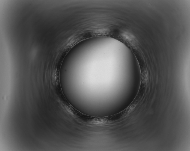 X0000086760764200704201745