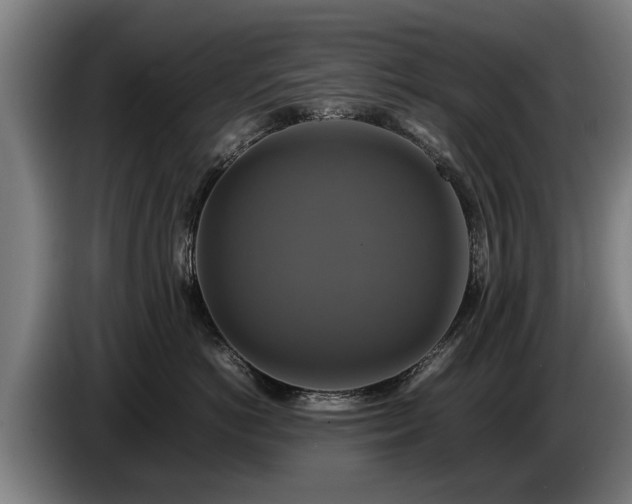 X0000086760766200704201745