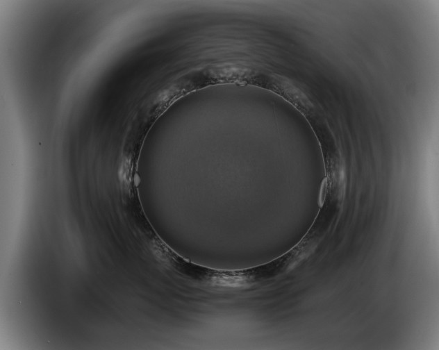 X0000086760767200704201745