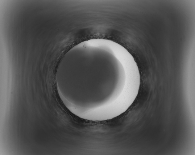 X0000086760769200704201744